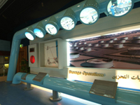 DSCF9343.jpg